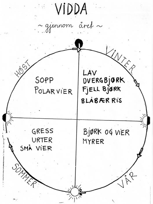 Klikk for full størrelse.