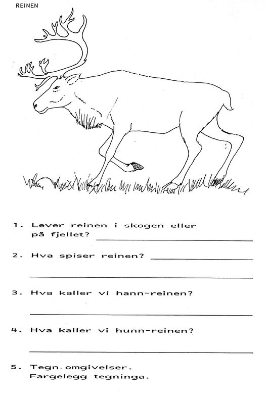 Klikk for full størrelse.