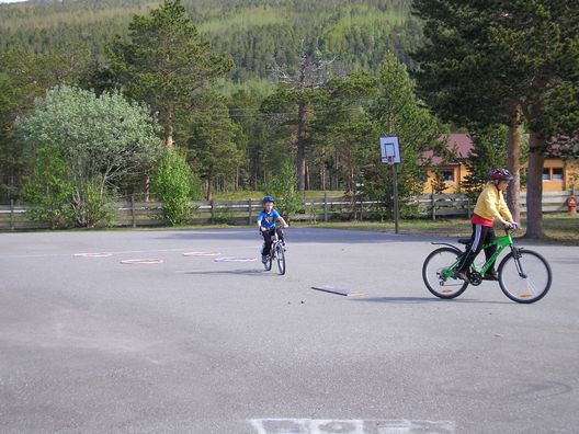 Klikk for full størrelse.